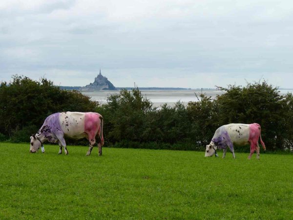 La Baie du Mont Saint Michel